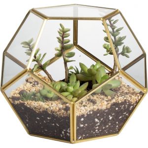 ASFASFq-Terrarium en Forme de dodécaèdre et plaques de Verre pentagonales pour Plante Transparent Gold Copper Transparent (Pas de Plantes) - Neuf