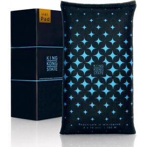 Déshumidificateur pour voiture-Coussin déshumidificateur pour vitres de voiture embuées-Avec rembourrage anti-buée et tapis antidérapant - Neuf