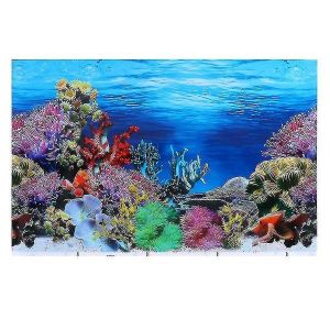 Fond D'aquarium Paradisiaque Et Vibrant &iquest; Toile De Fond Imperm&eacute;able De Qualit&eacute; Sup&eacute;rieure Pour Des Paysages Aquatiques &Eacute;poustouflants - Neuf