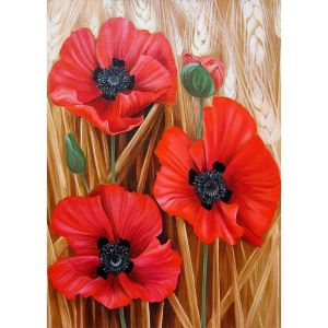 Ayuhr-Diamond Painting Strass Complet Rouge Coquelicot Fleur Bricolage, Diy 5d Broderie Diamant Peinture Diamant Mosaique - Neuf