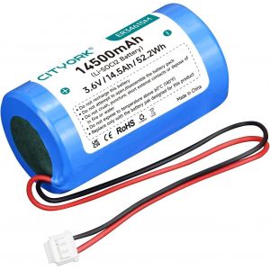 Lbgwp60-Er34615m Batterie Au Lithium Li-Soci2 3,6 V Compatible Avec Dsc Er34615m-T1 Wt4911 Wt4911b Wt8911 Alexor Siren D'extérieur Sans Fil Wt4911batt Adt ¿Non Rechargeable¿ - Neuf