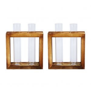 HJLIAN Lot de 2 pots de fleurs en verre transparent pour terrarium, hydroponique, pour plantes, bonsai - Neuf