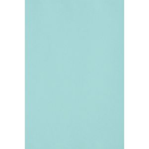 20x Carton Bleu Clair 250g Papier D&eacute;coratif A4 210x297mm Burano Azzurro Id&eacute;al Pour Cartes De Voeux Scrapbooking Bricolage Invitations Art Et Artisanat Anniversaire Diy Loisirs Cr&eacute;atifs - Neuf