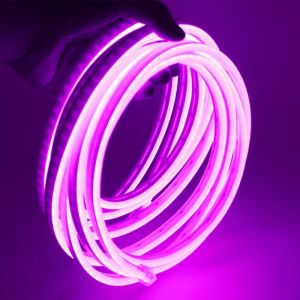 Lumière Au Néon Led,12v 2835 120leds / M Imperméable À L'eau Flexible Led Light Strip Au Néon Avec,Pour Chambre,Noël,Fête,Etc (Violet,2m) - Neuf
