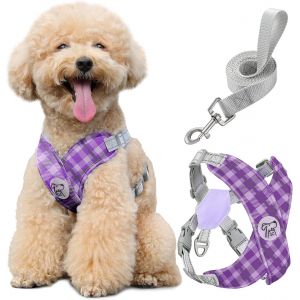 Eryi-Harnais Pour Chiens Avec Laisse, Harnais Sécurisé Anti-Traction En Forme De X, Veste Pour Chiens De Petite & Moyenne Taille, Ceinture De Sécurité D'animaux Réglable, M, Violet Plaid - Neuf