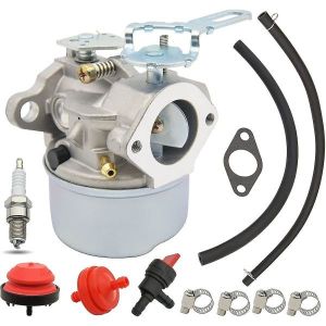 640084b Carburateur pour Tecumseh 5 hp Souffleuse MTD 632107a 632107 640084 640084a Toro 521 Souffleuse HSSK40 HSSK50 HS50 L - Neuf