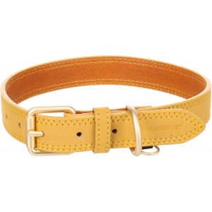 Eryi-Collier Pour Chien Virginia Jaune L 43-53cm 25mm - Avec Un Anneau Pour Étiquette D'identification - Cousu Pour Une Plus Grande Résistance - Neuf