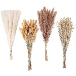 100 Pcs S&eacute;ch&eacute; Pampas Herbe D&eacute;cor Bouquet Compatible F&ecirc;te de Mariage Boho D&eacute;cor - Neuf