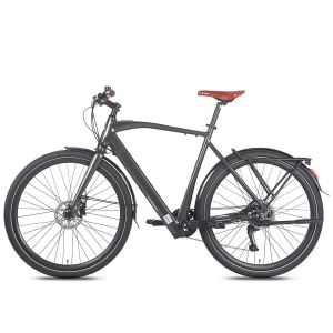 V&eacute;lo &Eacute;lectrique De Ville Fafrees F700m, 36 V, 250 W, Capteur De Couple, Noir - Neuf