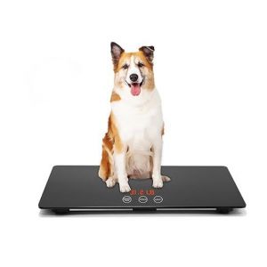 NouvelHorizonstore-Balance Num&eacute;rique Animaux de Compagnie Mesurer Chien et Chat avec 3 modes de pes&eacute;e, kg, once, livre, 220 livres sterling, livres, Capacit&eacute; avec Pr&eacute;cision de 10 g - Neuf