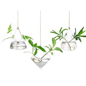 Lot De 3 Jardini&egrave;res Suspendues En Verre Avec Cordes Pour La D&eacute;coration De La Maison Et Du Bureau - Neuf