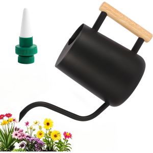 NouvelHorizonstore-Arrosoir Plante Interieur, 1L Petit Arrosoir de Jardin, Arrosoir en Acier Inoxydable avec Long Bec et Poign&eacute;e en Bois, pour Arroser Les Petites Plantes en Pot et D'int&eacute;rieur - Neuf