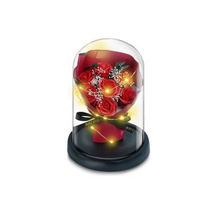 Rose pr&eacute;serv&eacute;e sous cloche en verre avec lumi&egrave;res LED - D&eacute;coration de fleur rouge - Neuf