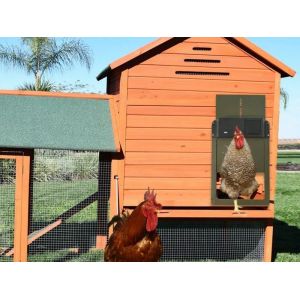 Ouvre-Porte Automatique Pour Poulailler Avec Capteur De Lumi&egrave;re Et Commande Manuelle, Vert, &Agrave; Piles - Neuf