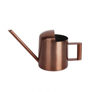Arrosoir pour plantes d'intérieur, petit arrosoir pour plantes d'intérieur, jardin, fleurs, bec long, arrosoir pour extérieur, bronze - Neuf