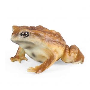 Réaliste solide grenouille et crapaud animaux figurines modèle jouet éducatif - Neuf