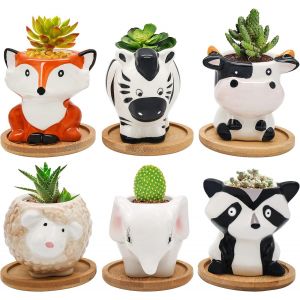 ASFASFq-Lot de 6 Petits Pots de Fleurs en céramique en Forme Animal Moderne pour Plantes intérieur et extérieur avec Plateau en Bambou et Trou de Drainage, Parfaits pour Le Jardin ou comme Cadeau - Neuf