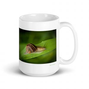Mug Escargot, Le Patient Voyageur Du Jardin 425 G - Neuf