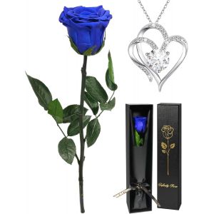 Rose Eternelle Avec Collier Cadeau Femme Noel,Vraie Rose Avec Tige Cadeau Maman Noel, Fleur Préservée En Coffret Cadeau Anniversaire Femme Fleur Eternelle Noel Cadeau Saint-Valentin Femme - Neuf