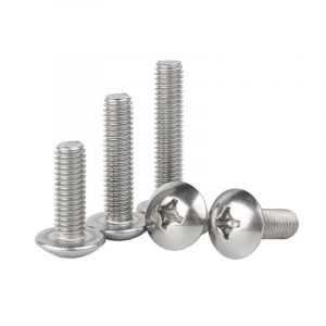 Cruciforme T&ecirc;te De Champignon Boulons &Agrave; T&ecirc;te Ronde Acier Inoxydable 304 Vis De Machine Fixations M6 X 30Mm 20 Pcs - Neuf