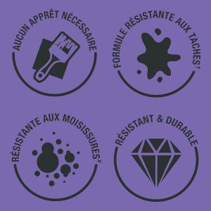 Peinture Verte R&eacute;sistante &agrave; l'eau pour Fa&iuml;ence de Cuisine,Finition Brillante-Vert sauge 750ml - Neuf