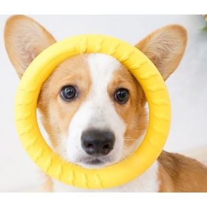 Les Chiens De Grande Taille De Remise En Forme De L'anneau De La Morsure Du Chien Anneau De Formation De Chien Anneau, Chien Jeu D'agilit&eacute; De L'&eacute;quipement D'exercice - Neuf