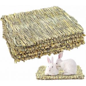 Tapis En Herbe Naturelle Tiss&eacute;e &Agrave; La Main Pour Petits Animaux- Couchage Douillet Et Jouet &Agrave; M&acirc;cher Pour Lapins, Cochons D'inde, Perroquets Et Plus Encore. - Neuf