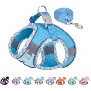 Eryi-Harnais Pour Petit Chien, Harnais Anti-Traction Pour Chat Avec Laisse, Harnais Réglable Pour Chien, Gilet D'extérieur Réfléchissant Pour Très Petits Chiens Bleu Xxs - Neuf
