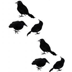 6 Pcs Noir Plumes Corbeaux Ornement Réaliste Décoration Oiseaux Figurine Décoration De Bureau En Plastique Pour Cadeau Fête Décor - Neuf
