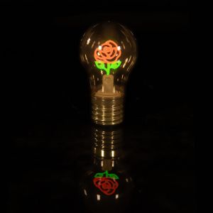 Kal-Lampe De Table En Forme D'ampoule, Lampe De Chevet En Forme De Rose, Rechargeable Avec Câble Usb-C, Sans Fil, Changement De Couleur, Portable & Décorative - Neuf