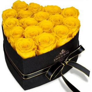 Lot de 17 roses &eacute;ternelles dans une bo&icirc;te en forme de c?ur - V&eacute;ritables roses - Cadeaux pour femme pour la Saint-Valentin, la f&ecirc;te des m&egrave;res, No&euml;l, un anniversaire, un anniversaire de mariage - Neuf