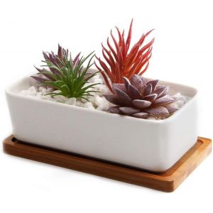 ASFASFq-16.5cm Pot de Succulent en Céramique Blanc avec Plateau en Bambou, Boîte de Fleur Cactus Plante Planteur Cache Pot Jardinière Contenant Cadeau Anniversaire Mariage - Neuf