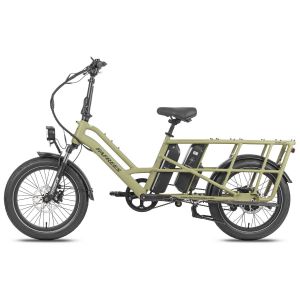 Vélo Utilitaire Électrique Fafrees Ff20 Cuv, Familial, Double Batterie, Vert - Neuf