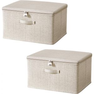 Tianyi-Acesome Boîte Avec Serrure, Boîte Pharmacie, Boite De Rangement Avec Couvercle, Rangement Medicament Rangement Pour Les Vêtements, Les Friandises, Les Jouets, Etc (30 X 20 X 14 Cm, 2) - Neuf