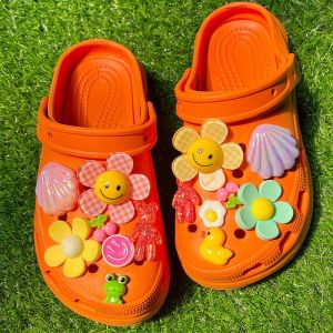 Accessoires Pour Chaussures, Fleurs Pour Chaussures, Boucles Pour Chaussures, Amovibles - Neuf