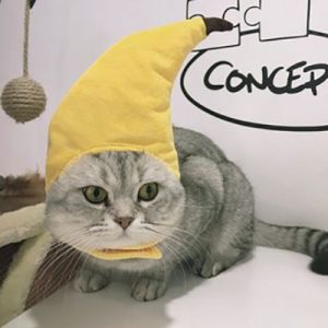 Un Sombrero De Gato Con Forma De Plátano Que Se Puede Usar Para Fiestas De Mascotas, Decoración De Mascotas. - Neuf
