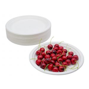 Lot De 50 Assiettes Jetables Compostables En Canne &Agrave; Sucre De 18 Cm - Neuf