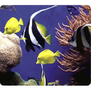 Tapis de Souris recycl&eacute; Base en Caoutchouc antid&eacute;rapante - Facile &agrave; Nettoyer - Fabriqu&eacute; &agrave; partir de mat&eacute;riaux recycl&eacute;s - Compatible Souris Optique et Laser - 228 x 203 x 2 mm - sous la mer - Neuf