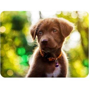 Tapis De Souris L 36 X 25 Cm, Mouse Pad, Motif Chiot, Tapis De Souris En Tissu, Antid&eacute;rapant, Silencieux, Le Jeu Vid&eacute;o, Bureau, Home Office, Lavable, Enroulable, D&eacute;coup&eacute; Au Laser - Neuf