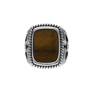 Bague Argent Homme Temple Pierre ?Il De Tigre - Neuf
