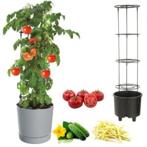 Pot &Agrave; L&eacute;gumes Vigne Tomate Concombre Haricot &Oslash;40 Cm Gris Pierre - Neuf