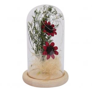 Lampe USB en forme de fleur eternelle avec couvercle en verre, decoration d'interieur, cadeau de festival - Neuf