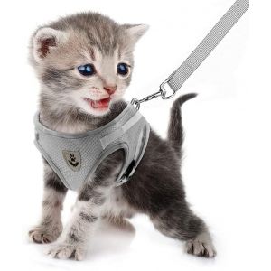 Jgd-Harnais Et Laisse Pour Chiens, Ensemble Harnais Rembourr&eacute; En Mesh Doux Pour Chiots Et Chats, Veste Respirant R&eacute;glable R&eacute;fl&eacute;chissant Int&eacute;rieur Pour Marcher, Courir, Formation - Neuf