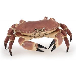 Eryi-- Figurine Crabe - Jouet Imaginatif Pour Enfants Dès 3 Ans - 8 X 7,5 X 2,5 Cm - Crabe Dormeur Réaliste - Peint À La Main - Univers Marin - Durable Et Éducatif - 56047 - Neuf