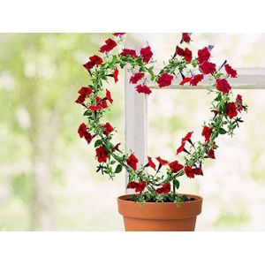 Tuteur en forme de c?ur pour plantes grimpantes - Lot de 2 - Neuf