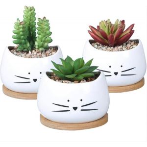 Lot De 3 Petits Pots De Fleurs Au Design Mignon De Chat Blanc|Cache-Pot Cactus|Jardini&egrave;re Balcon|Id&eacute;e-Cadeau ,Anniversaire|Plantes Kawai|D&eacute;coration Int&eacute;rieur Et Ext&eacute;rieur - Neuf