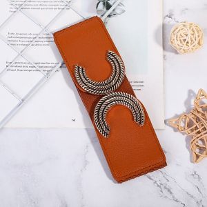 Une Ceinture Large Élastique Pour Femme Camel, Enveloppée D'une Ceinture Élastique Décorée D'une Robe Vintage Avec Une Ceinture Taille Haute - Neuf