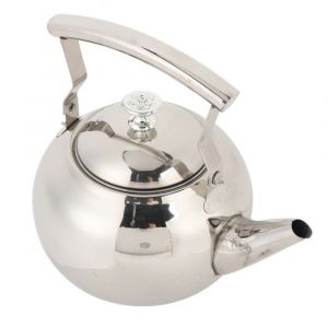 Bouilloire à thé en acier inoxydable avec filtre fin, théière multifonction en acier inoxydable pour - Neuf