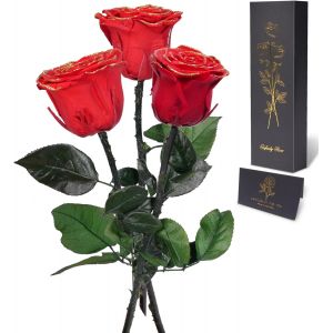 Rose Eternelle Cadeau Femme,Vraie Rose avec Tige Cadeau Maman Noel Fleur Pr&eacute;serv&eacute;e en Coffret Cadeau Anniversaire Femme Cadeau Fleur Eternelle Noel Cadeau Saint-Valentin Fete des Meres,3 Roses - Neuf