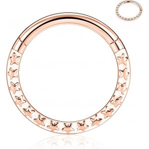 Kal-Boucles D'oreilles 16 G En Acier Inoxydable Pour Septum, Daith, Rook, Tragus, Hélix, Cartilage, Lobe Septum, Bijoux Serpent, Pyramide, Flèche, Étoile, Anneau Segmenté À Charnière - Neuf